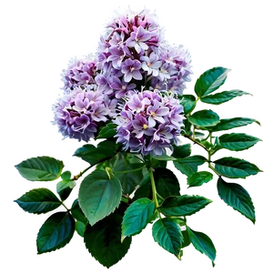 Blooming Shrub Png Pgc PNG image