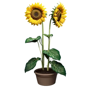 Blooming Sunflower Garden PNG 13