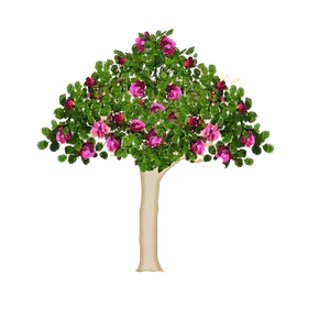 Blooming Tree Black Background