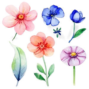 Blooming Watercolor Flowers PNG Nml62 PNG