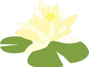 Blooming White Lotus Flower PNG image