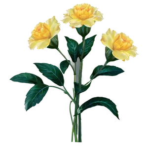 Blooming Yellow Flowers PNG 06122024