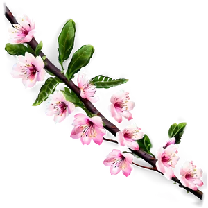 Blossom Branches PNG 04292024