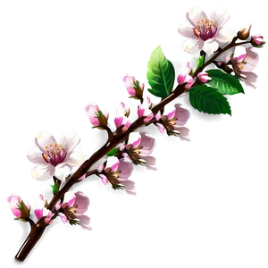 Blossom Clipart PNG 14 PNG