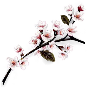 Blossom Print Illustration PNG Bfb68 PNG
