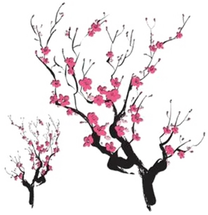 Blossoming Cherry Branches.png PNG image