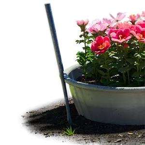 Blossoming Flower Bed Png 60 PNG image