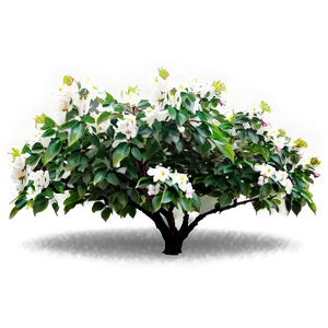 Blossoming Flower Bush Png Nbv81 PNG image