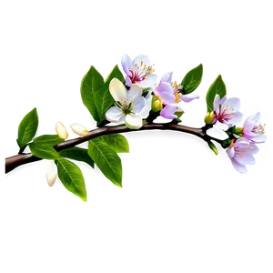 Blossoming Tree Branches Png Ebe21 PNG image