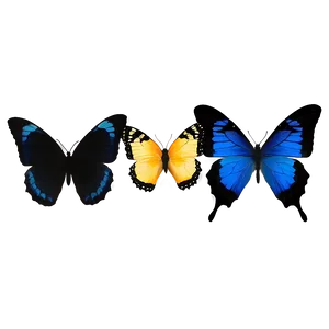 Blue And Black Butterfly PNG Ycy