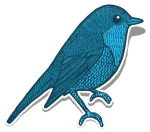Blue Bird Illustration