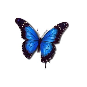 Blue Butterflies Artwork PNG 06132024 PNG
