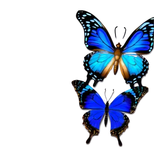 Blue Butterflies Design PNG Bdh31 PNG