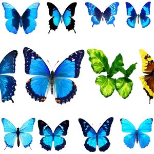 Blue Butterflies In Nature PNG 06132024