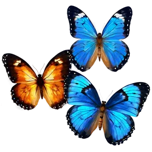 Blue Butterflies Pattern PNG Oyn PNG