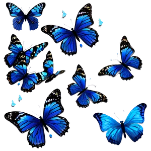 Blue Butterflies PNG 05232024