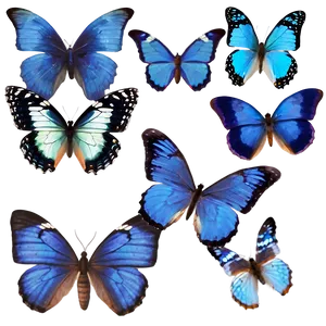 Blue Butterflies PNG 27