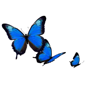 Blue Butterflies Silhouette PNG Uyc50 PNG