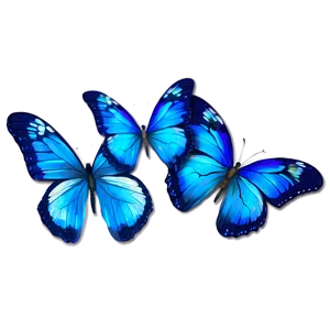 Blue Butterflies With Dew PNG 69 PNG