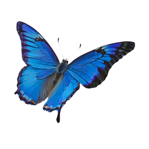 Blue Butterfly In Flight PNG 21