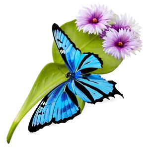 Blue Butterfly On Flower Png 84 PNG image