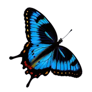 Blue Butterfly Pattern Png 55 PNG image