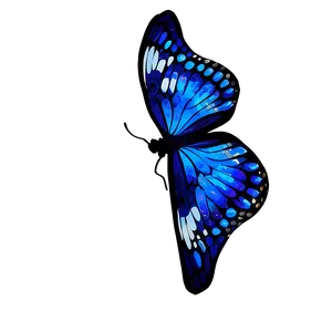 Blue Butterfly Pattern Png Sjk PNG image