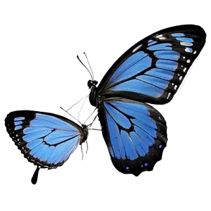 Blue Butterfly Silhouette Png 05212024 PNG image