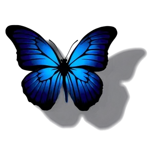 Blue Butterfly Silhouette Png 30 PNG image