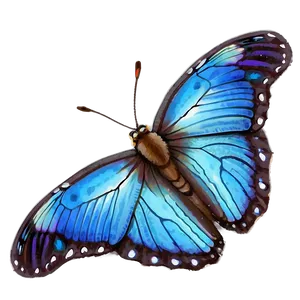 Blue Butterfly Wings Detail Png Qqe6 PNG image