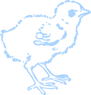 Blue Chick Sketch Outline PNG image