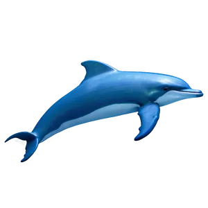 Blue Dolphin Png Jqa PNG image