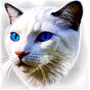 Blue Eyed Cat Head Portrait PNG 06132024 PNG