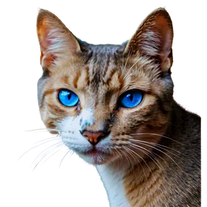 Blue Eyed Cat Head Portrait PNG Qxs PNG