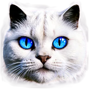 Blue Eyed Cat Head Portrait PNG Tlu17 PNG
