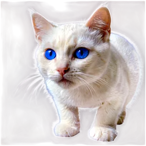 Blue Eyed Cat Png Byx PNG image
