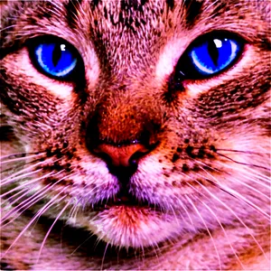 Blue Eyed Cat Png Xpo48 PNG image