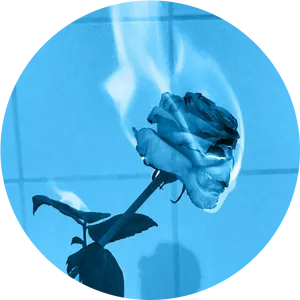 Blue Flame Rose Art PNG image