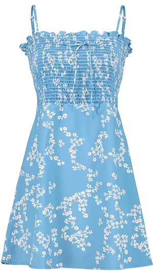 Blue Floral Summer Dress