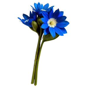 Blue Flower Bouquet PNG 05242024
