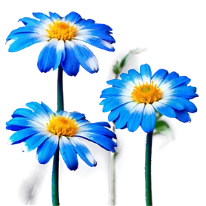 Blue Flower Closeup PNG Lrg32