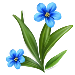 Blue Flower Detail PNG 05242024