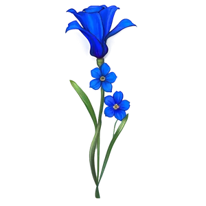 Blue Flower Majesty PNG 05242024 PNG