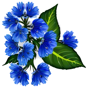 Blue Flower Nature PNG Pbq