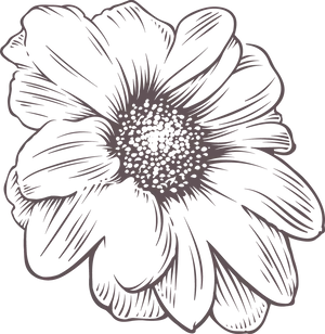 Blue Flower Outline Graphic PNG
