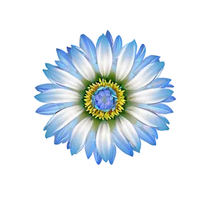 Blue Flower Pattern PNG Dsm41