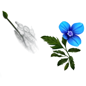 Blue Flower Png Wom71 PNG image