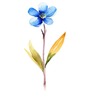 Blue Flower Watercolor PNG 43