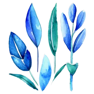 Blue Flower Watercolor PNG Hvs