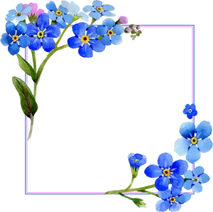 Blue Forget Me Not Floral Frame PNG image